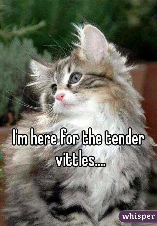 i-m-here-for-the-tender-vittles