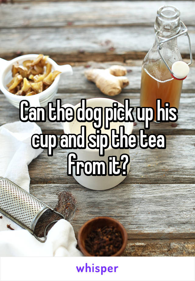 Can the dog pick up his cup and sip the tea from it?
