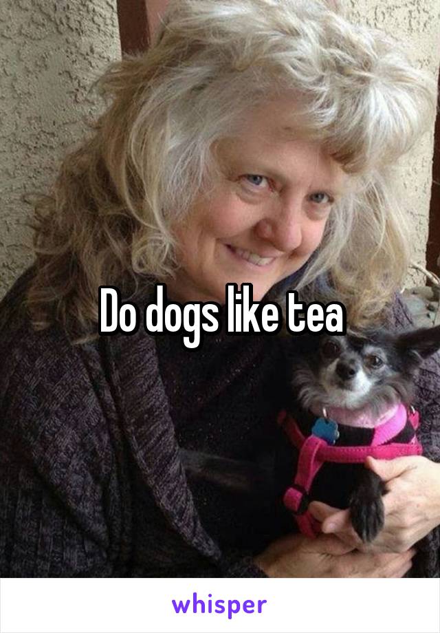 Do dogs like tea
