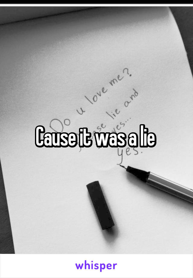 Cause it was a lie 