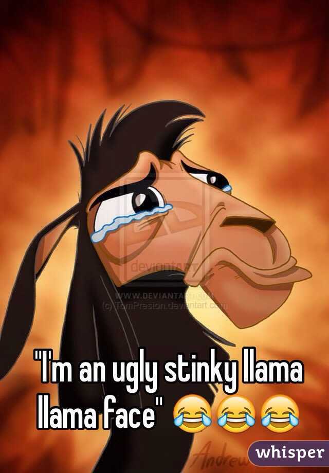 ugly stinky llama face