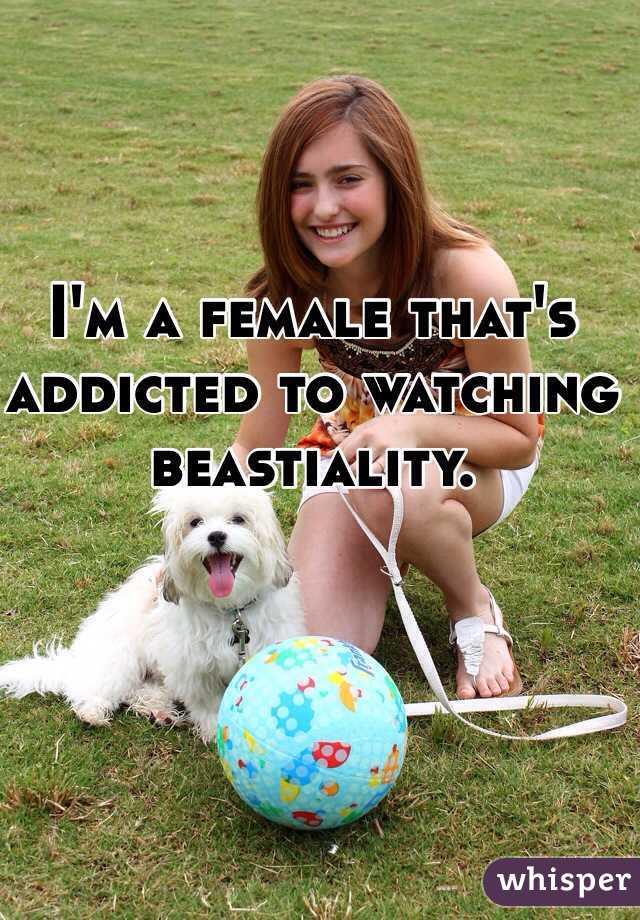 I'm a female that's addicted to watching beastiality.  
