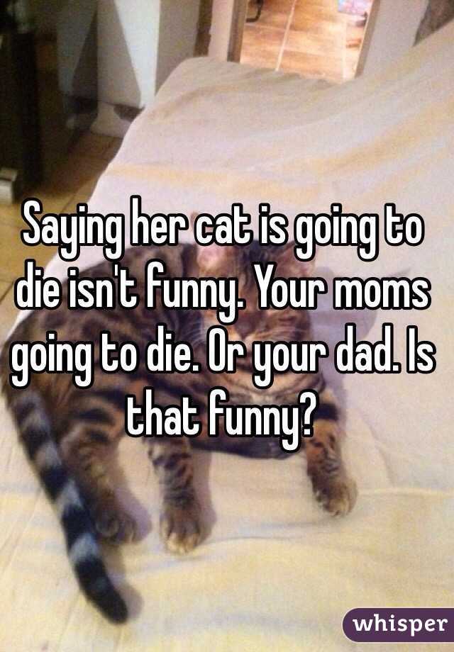 Saying her cat is going to die isn't funny. Your moms going to die. Or your dad. Is that funny?