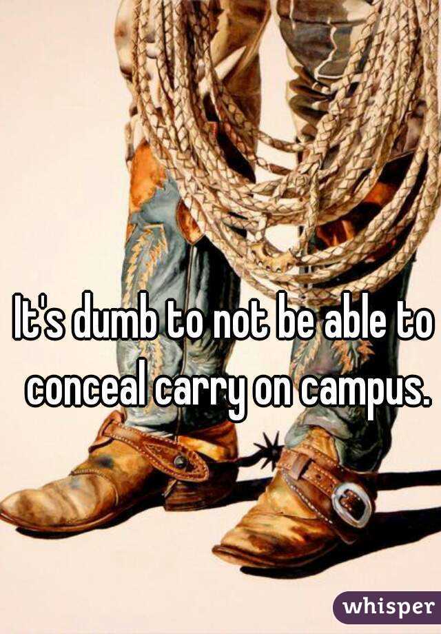 It's dumb to not be able to conceal carry on campus.