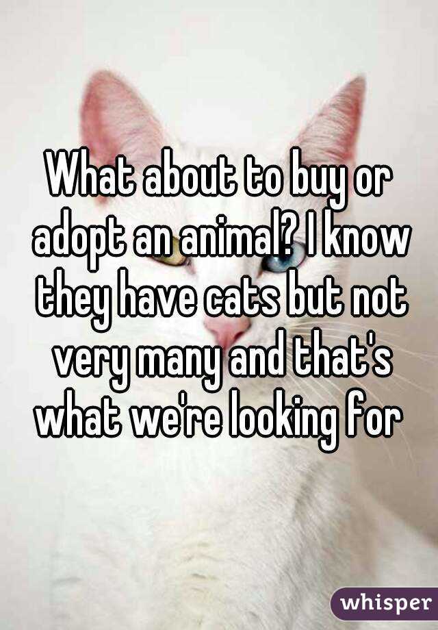 What about to buy or adopt an animal? I know they have cats but not very many and that's what we're looking for 
