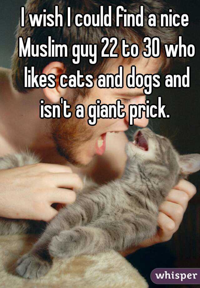 I wish I could find a nice Muslim guy 22 to 30 who likes cats and dogs and isn't a giant prick. 