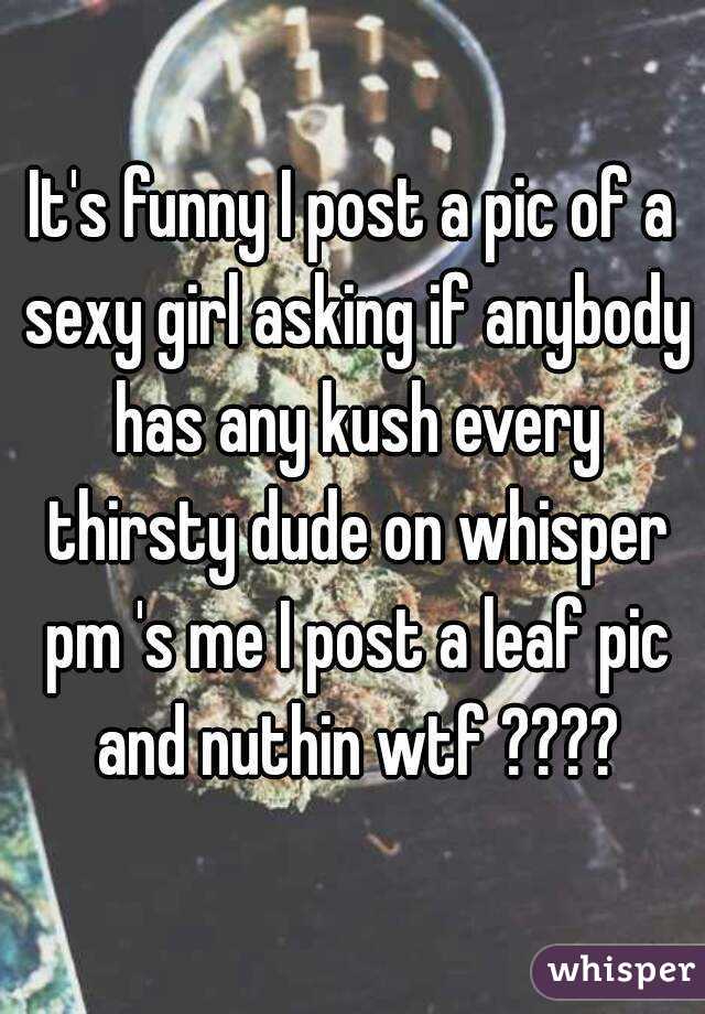 It's funny I post a pic of a sexy girl asking if anybody has any kush every thirsty dude on whisper pm 's me I post a leaf pic and nuthin wtf ????