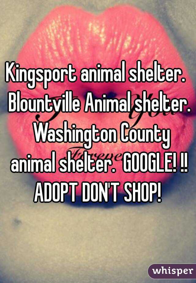 Kingsport animal shelter.  Blountville Animal shelter.  Washington County animal shelter.  GOOGLE! !! ADOPT DON'T SHOP! 