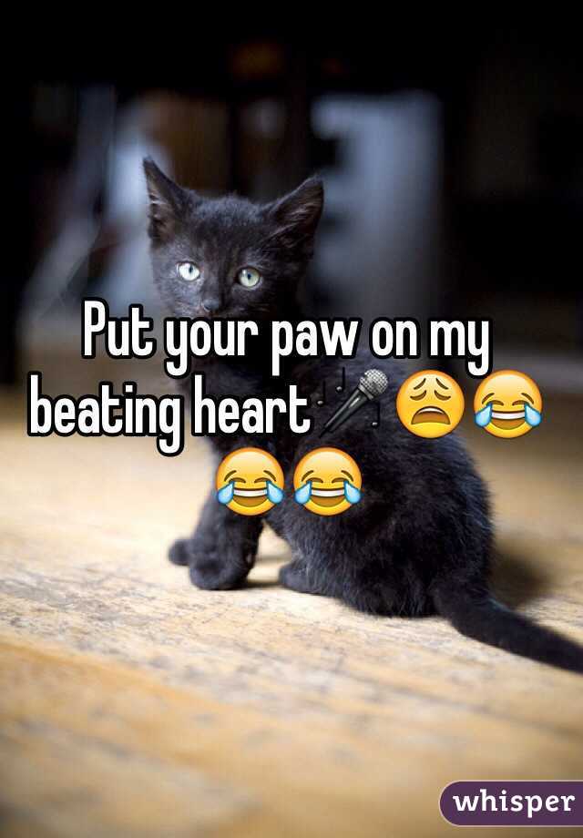 Put your paw on my beating heart🎤😩😂😂😂