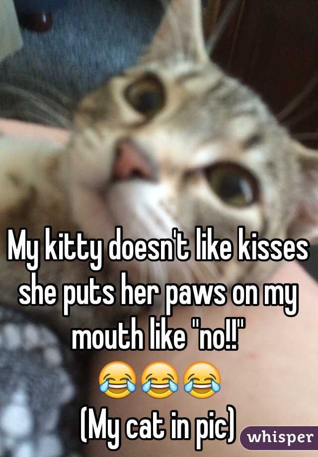 My kitty doesn't like kisses she puts her paws on my mouth like "no!!"
😂😂😂
(My cat in pic)