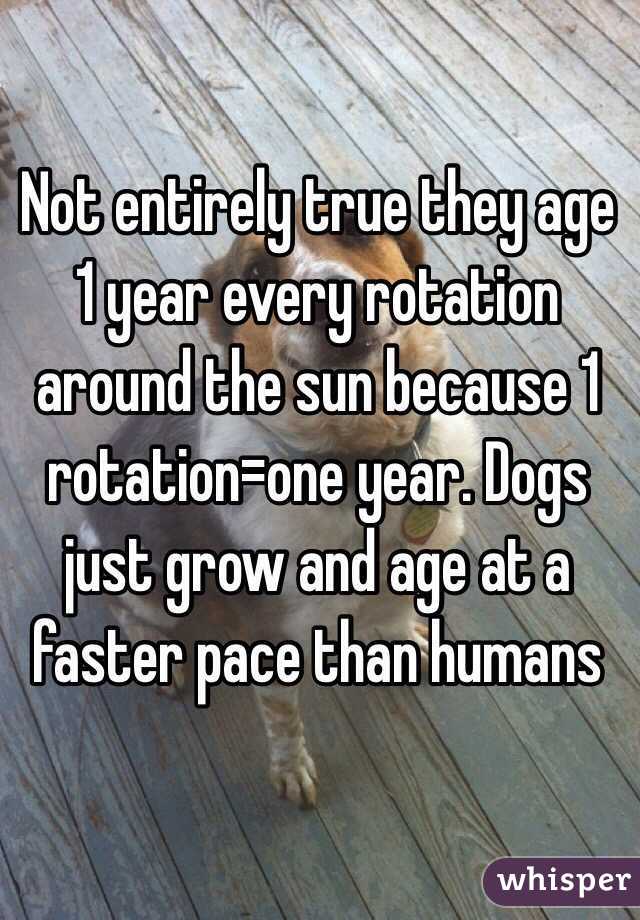 Not entirely true they age 1 year every rotation around the sun because 1 rotation=one year. Dogs just grow and age at a faster pace than humans