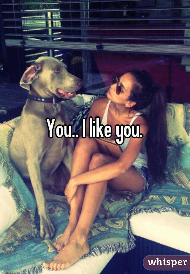 You.. I like you.
