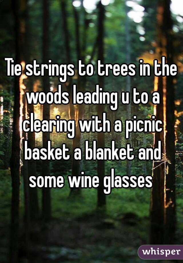 Tie strings to trees in the woods leading u to a clearing with a picnic basket a blanket and some wine glasses 