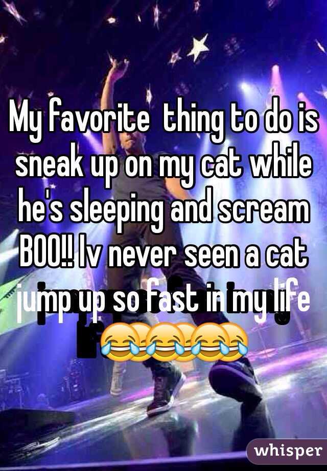 My favorite  thing to do is sneak up on my cat while he's sleeping and scream BOO!! Iv never seen a cat jump up so fast in my life😂😂😂