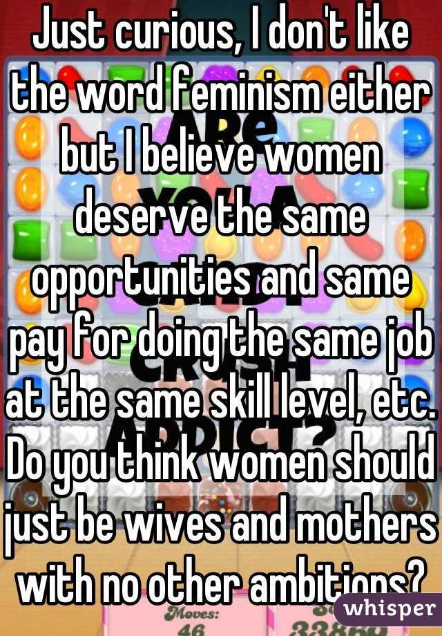 Just curious, I don't like the word feminism either but I believe women deserve the same opportunities and same pay for doing the same job at the same skill level, etc. Do you think women should just be wives and mothers with no other ambitions?