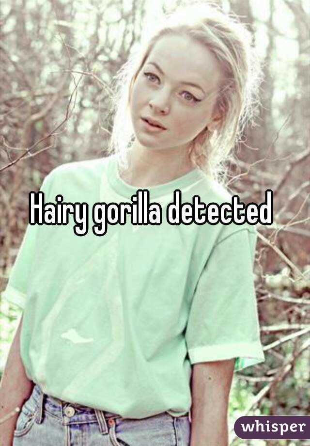 Hairy gorilla detected 