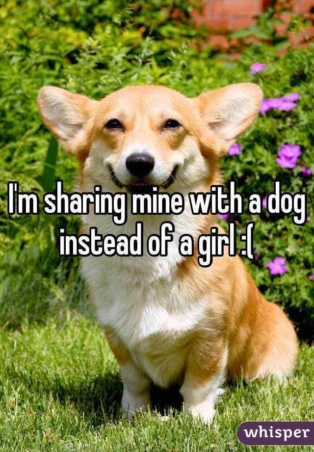 I'm sharing mine with a dog instead of a girl :(