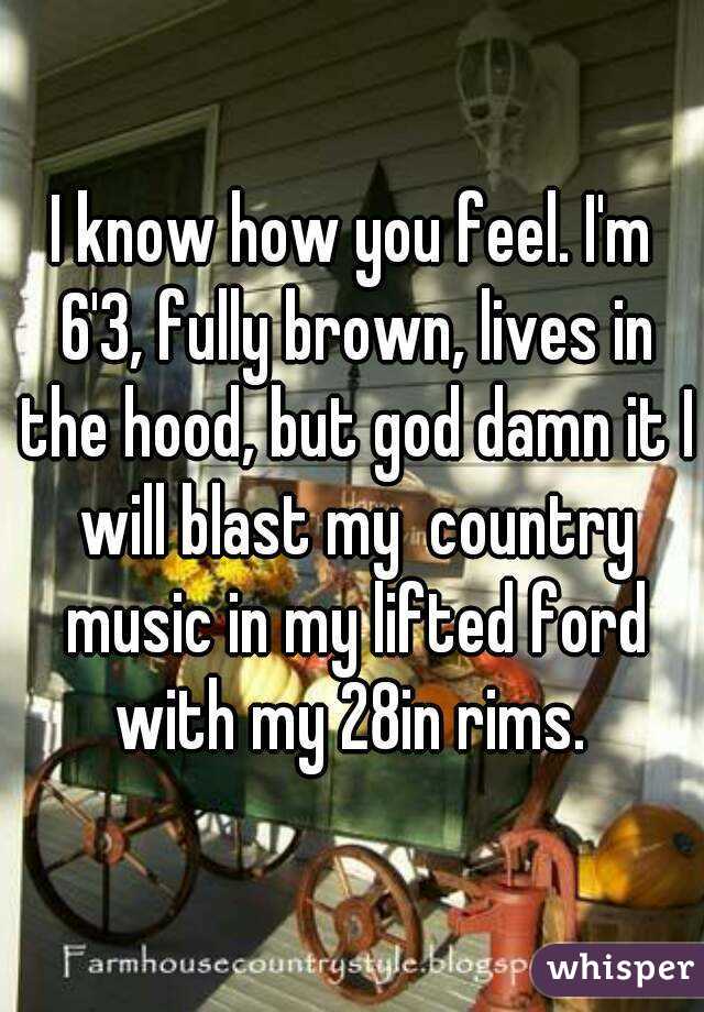 I know how you feel. I'm 6'3, fully brown, lives in the hood, but god damn it I will blast my  country music in my lifted ford with my 28in rims. 