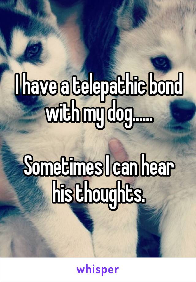 I have a telepathic bond with my dog......

Sometimes I can hear his thoughts.