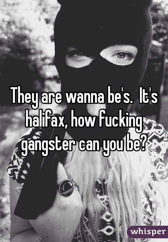 They are wanna be's.  It's halifax, how fucking gangster can you be?