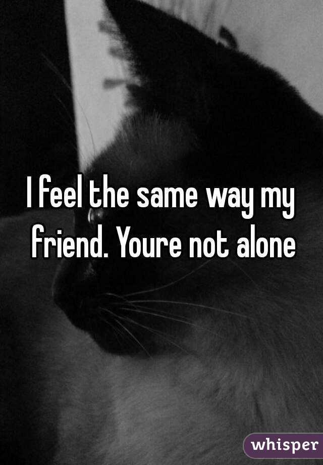 I feel the same way my friend. Youre not alone