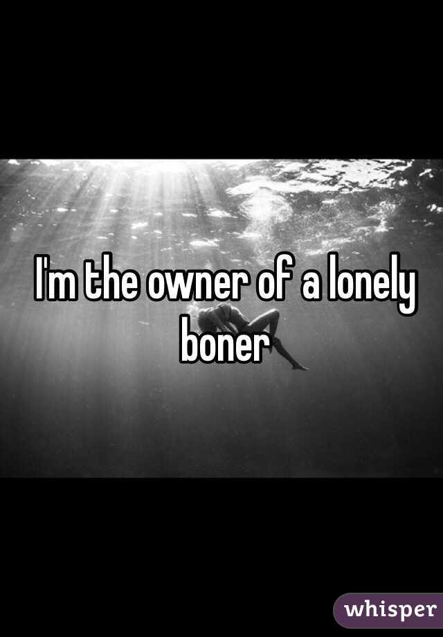 I'm the owner of a lonely boner 