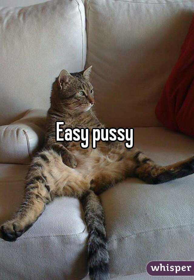 Easy pussy 