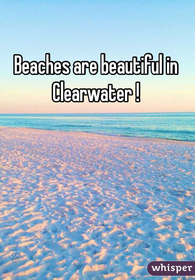 Beaches are beautiful in Clearwater !