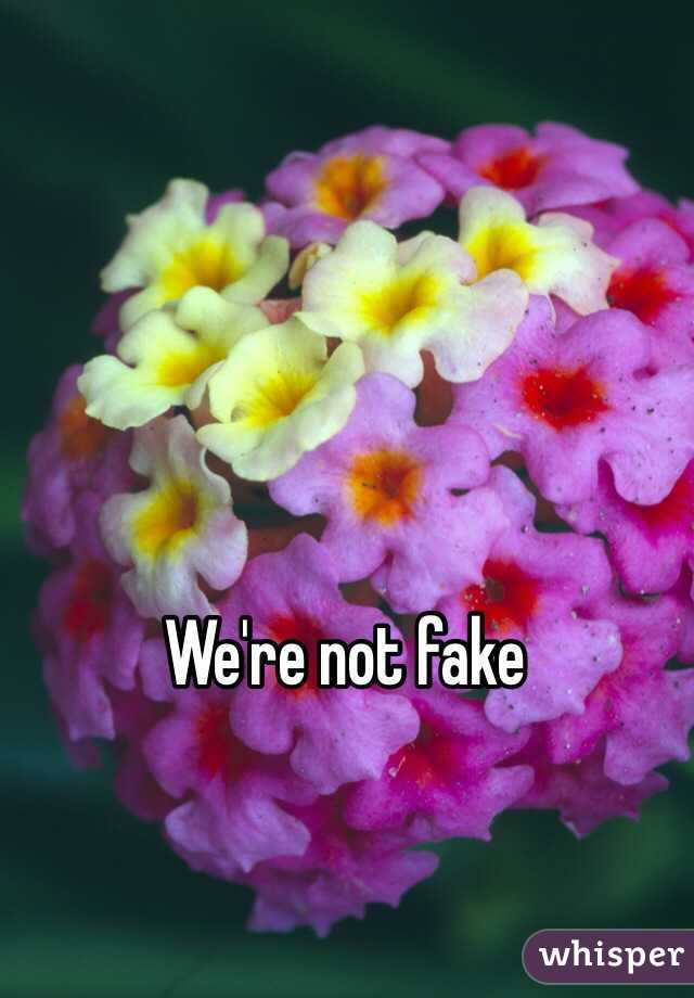 We're not fake