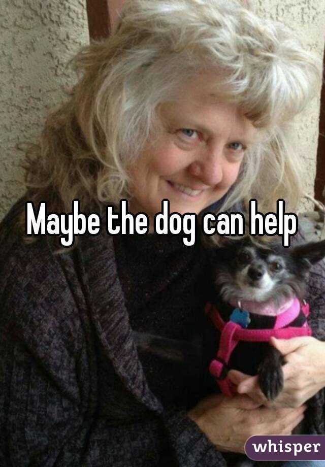 Maybe the dog can help