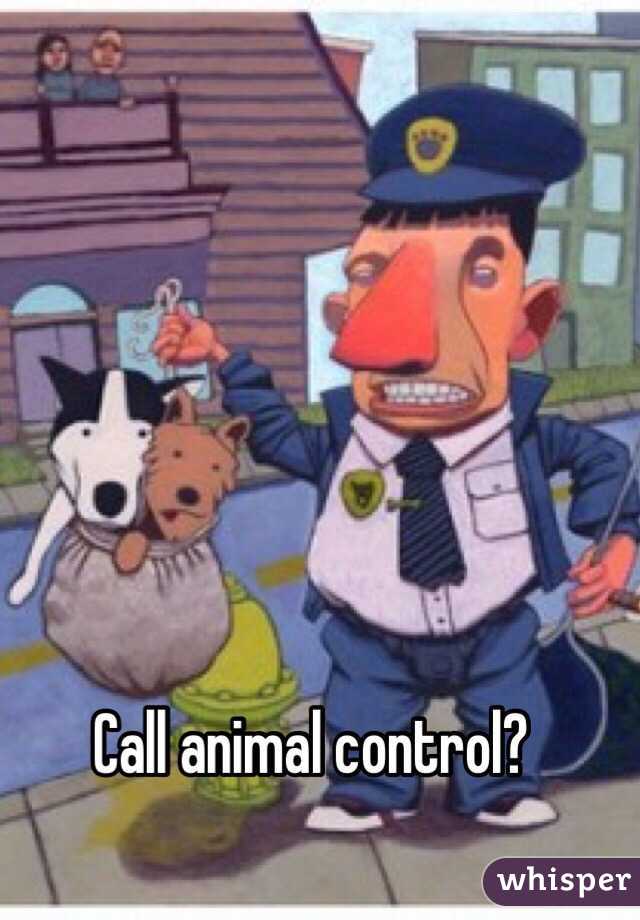 call-animal-control