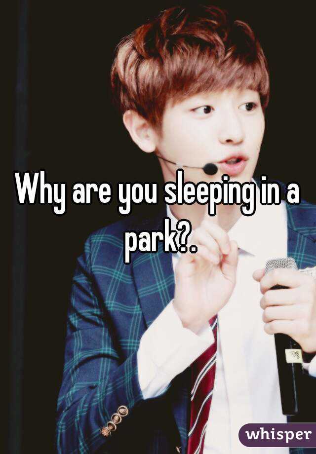 Why are you sleeping in a park?.