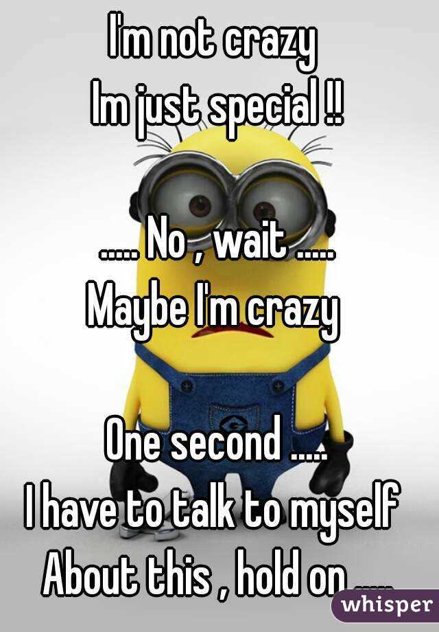 I'm not crazy 
Im just special !!

..... No , wait .....
Maybe I'm crazy 

One second .....
I have to talk to myself 
About this , hold on .....