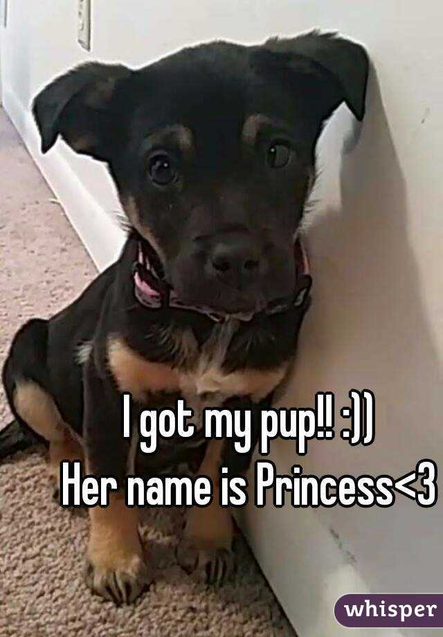 I got my pup!! :))
Her name is Princess<3