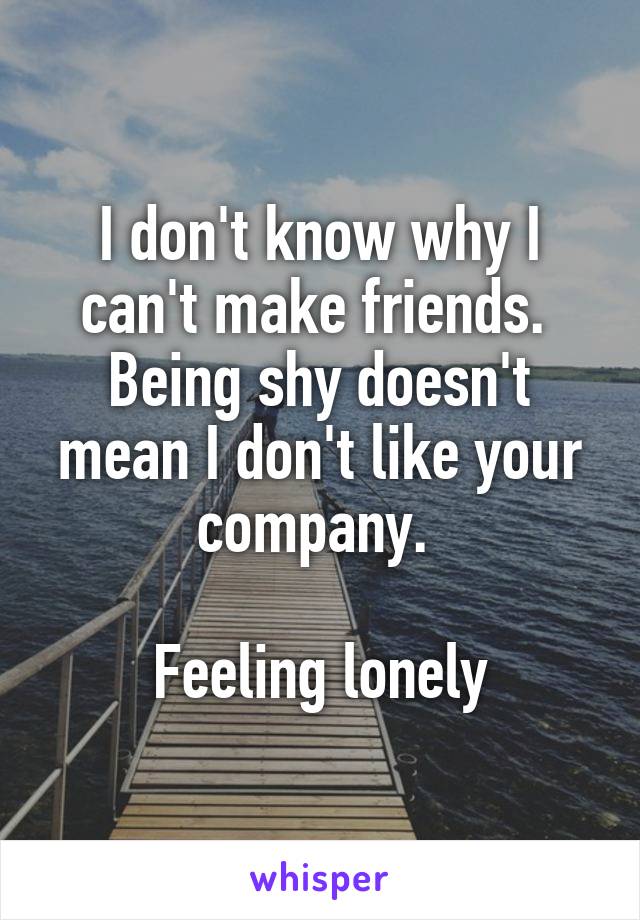 I don't know why I can't make friends.  Being shy doesn't mean I don't like your company. 

Feeling lonely