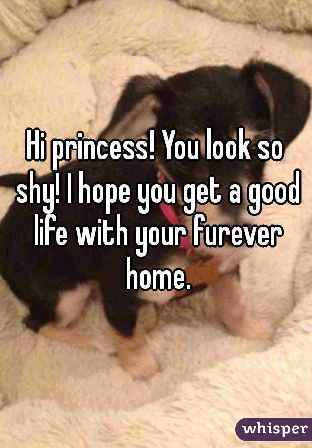 Hi princess! You look so shy! I hope you get a good life with your furever home.