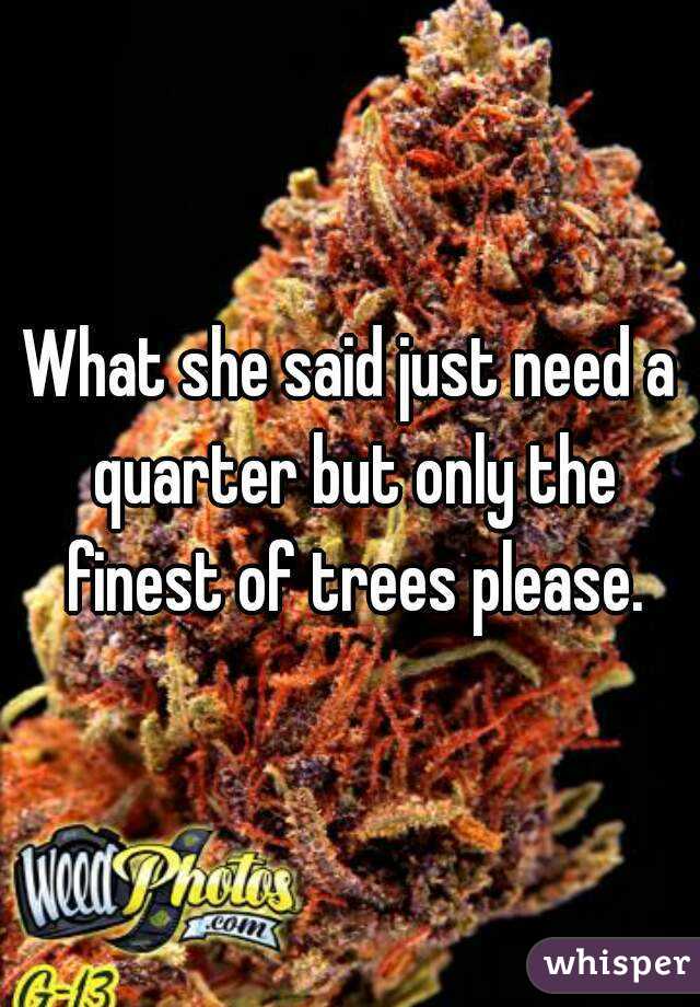 What she said just need a quarter but only the finest of trees please.