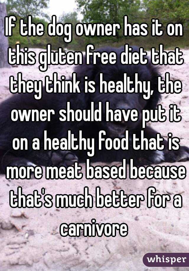 If the dog owner has it on this gluten free diet that they think is healthy, the owner should have put it on a healthy food that is more meat based because that's much better for a carnivore 