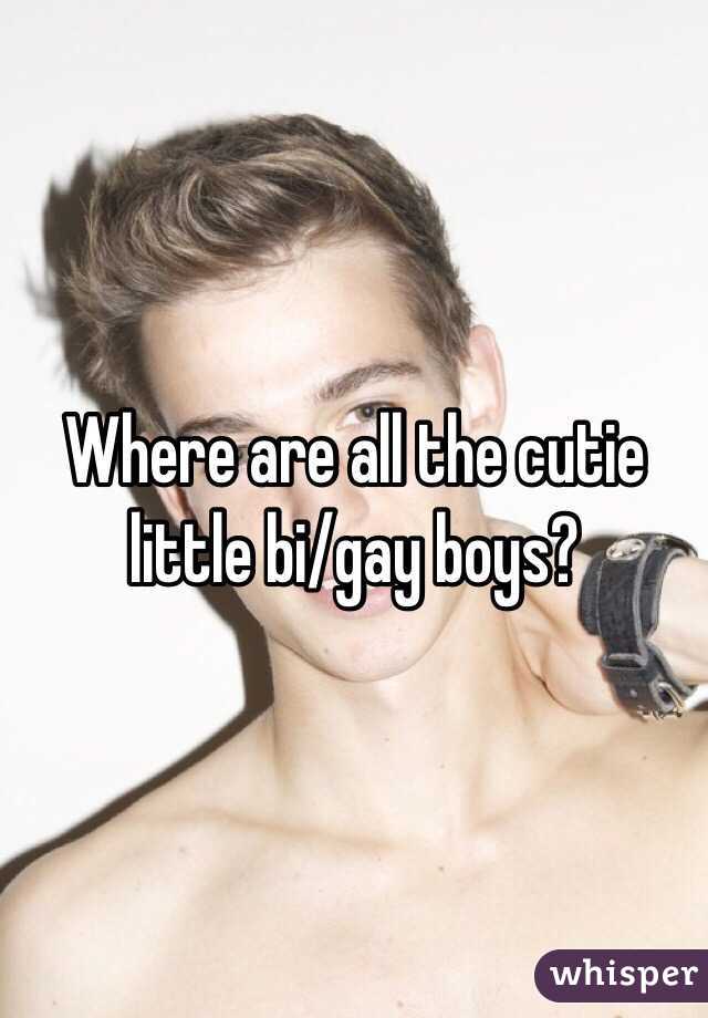 Where are all the cutie little bi/gay boys?