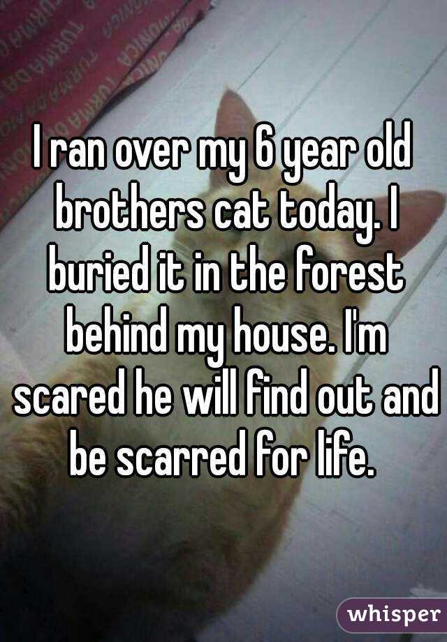I ran over my 6 year old brothers cat today. I buried it in the forest behind my house. I'm scared he will find out and be scarred for life. 