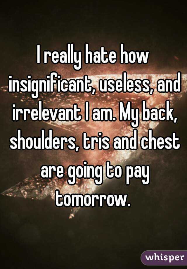 I really hate how insignificant, useless, and irrelevant I am. My back, shoulders, tris and chest are going to pay tomorrow. 