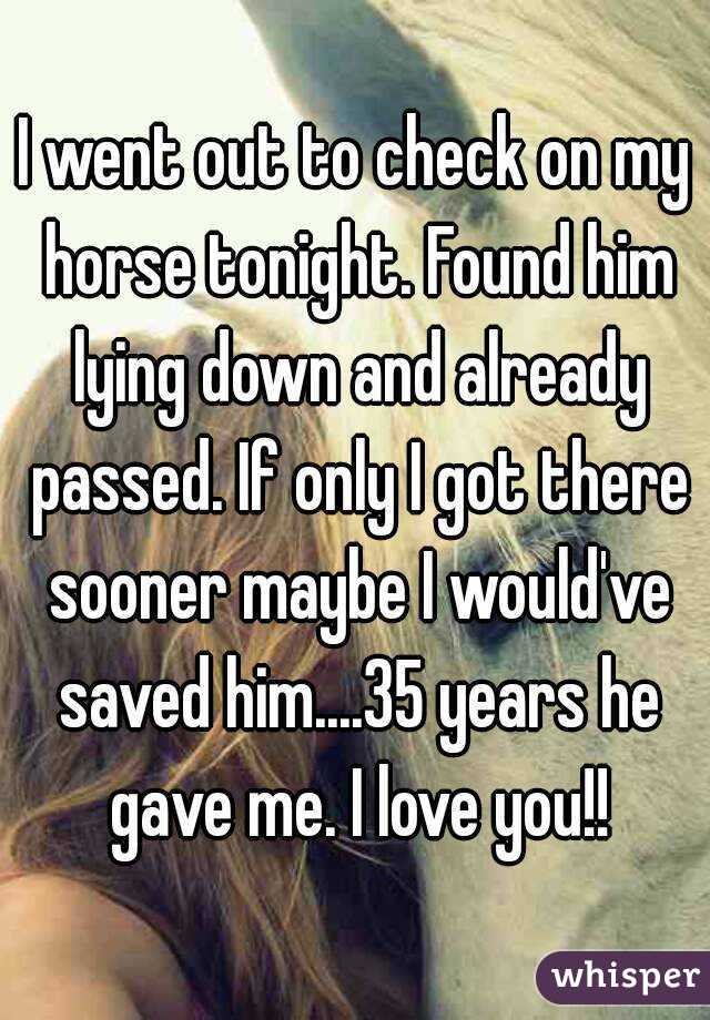 I went out to check on my horse tonight. Found him lying down and already passed. If only I got there sooner maybe I would've saved him....35 years he gave me. I love you!!