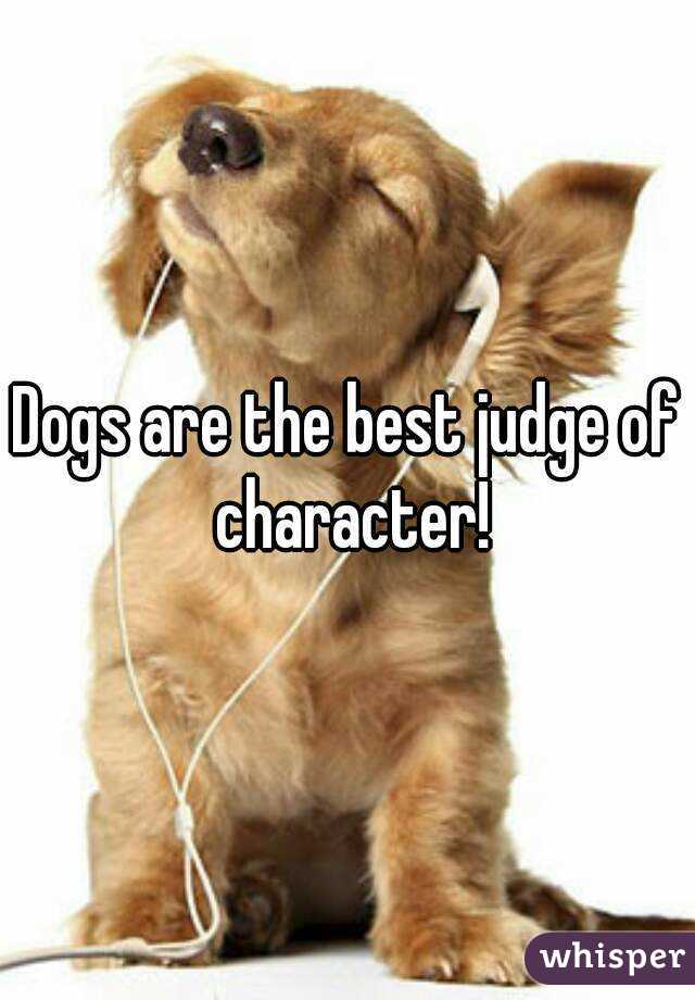 Dogs are the best judge of character!