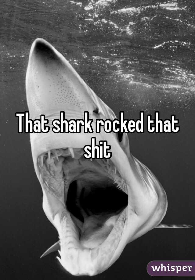 That shark rocked that shit