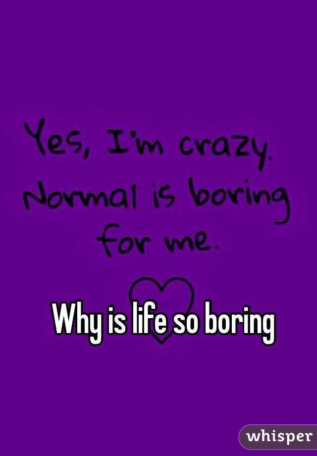 Why is life so boring
