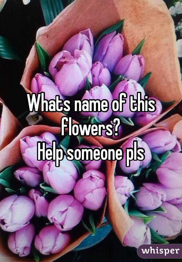 Whats name of this flowers? 
Help someone pls 