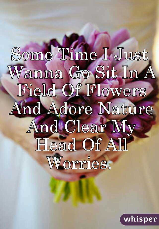 Some Time I Just Wanna Go Sit In A Field Of Flowers And Adore Nature And Clear My Head Of All Worries. 