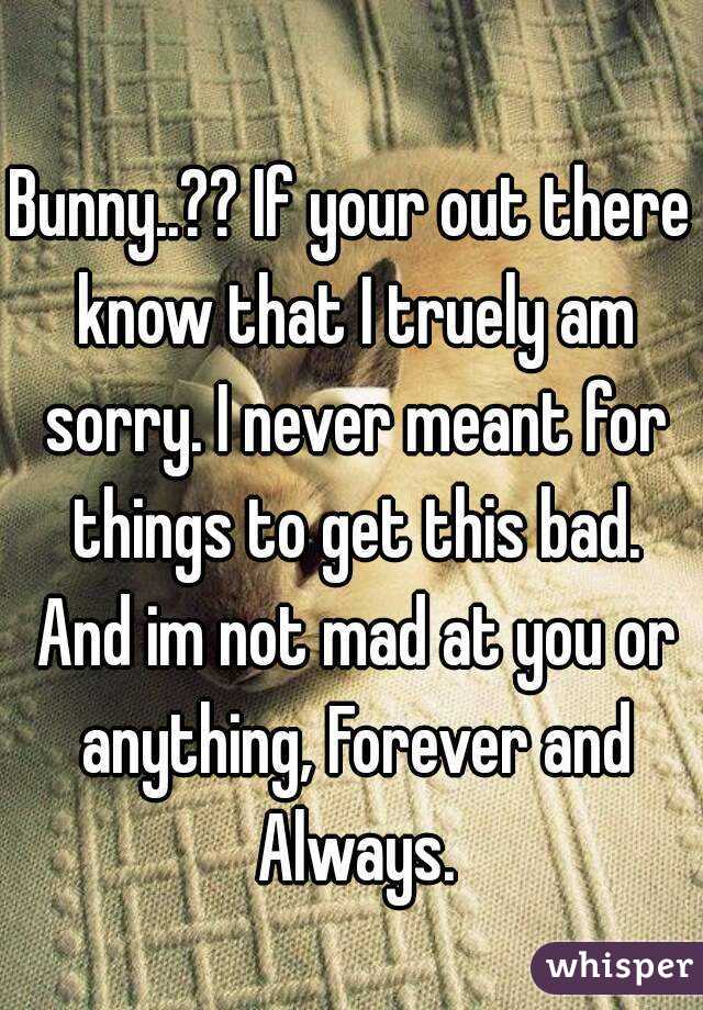 Bunny..?? If your out there know that I truely am sorry. I never meant for things to get this bad. And im not mad at you or anything, Forever and Always.