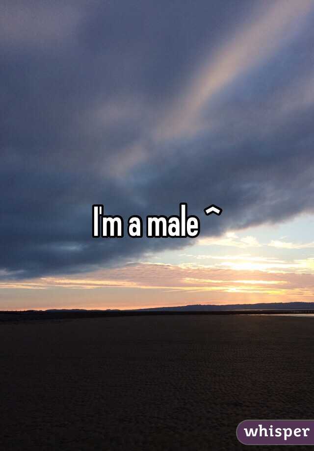 I'm a male ^