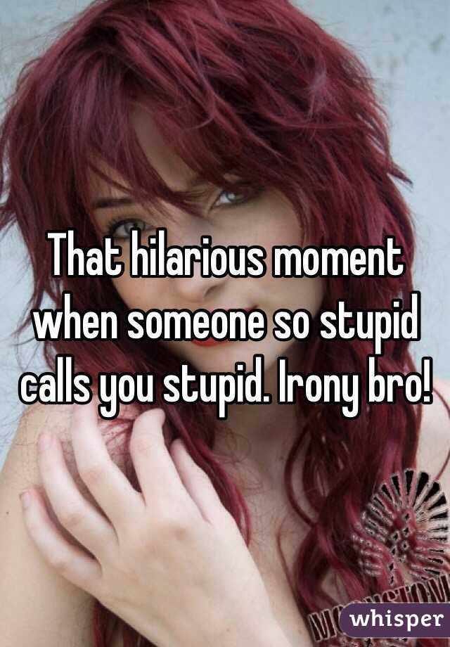 That hilarious moment when someone so stupid calls you stupid. Irony bro!
